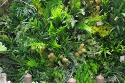 123 zeleni zidovi dekoracija